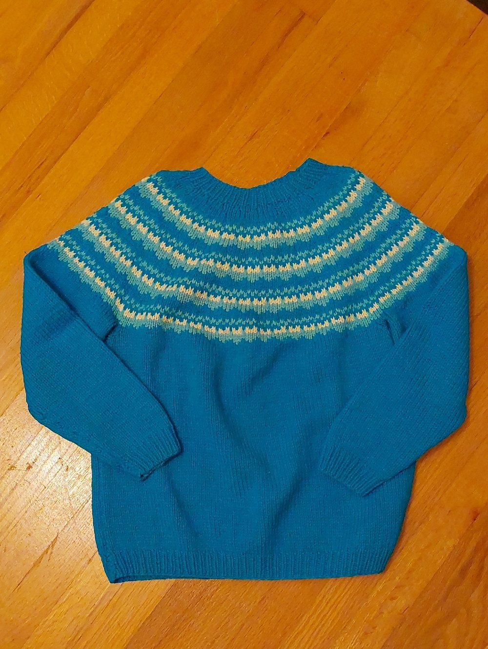 Bundle Abercrombie Sloan Pants 00 & J Crew L.L.Bean Old Navy Handknit Sweaters - Picture 9 of 16
